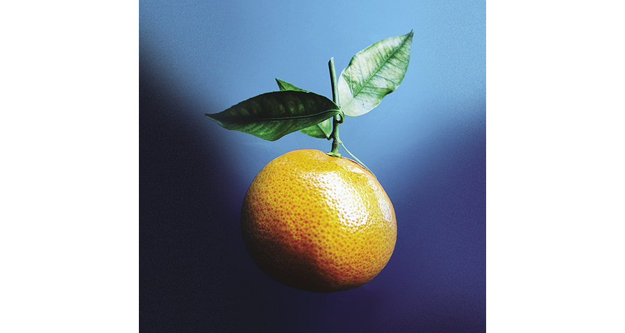 Competition for the Raspberry Pi: Orange Pi RV2