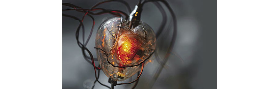 Repower Your Raspberry Pi