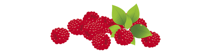 Ubuntu 24.04 on the Raspberry Pi