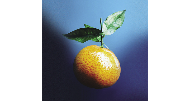 Competition for the Raspberry Pi: Orange Pi RV2